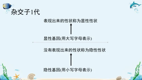 人教版八年级下册生物复习课件