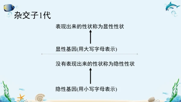 人教版八年级下册生物复习课件