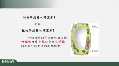 2.1.4  细胞的生活 课件（共26张PPT）