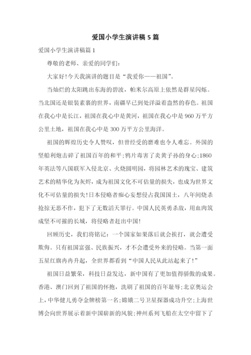 爱国小学生演讲稿5篇.docx