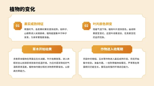 橙色中国风寒露节气PPT模板