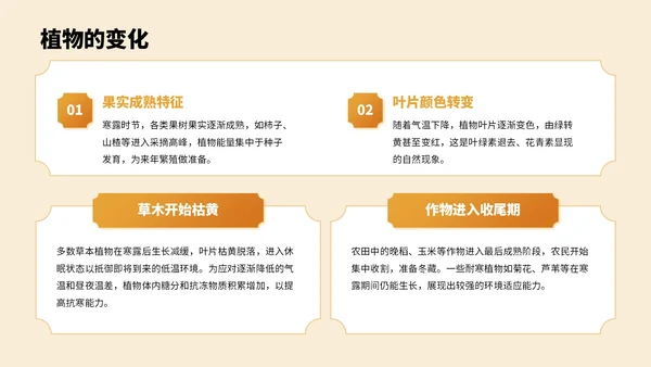 橙色中国风寒露节气PPT模板