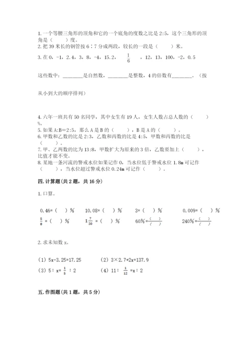 石家庄市辛集市六年级下册数学期末测试卷a4版.docx