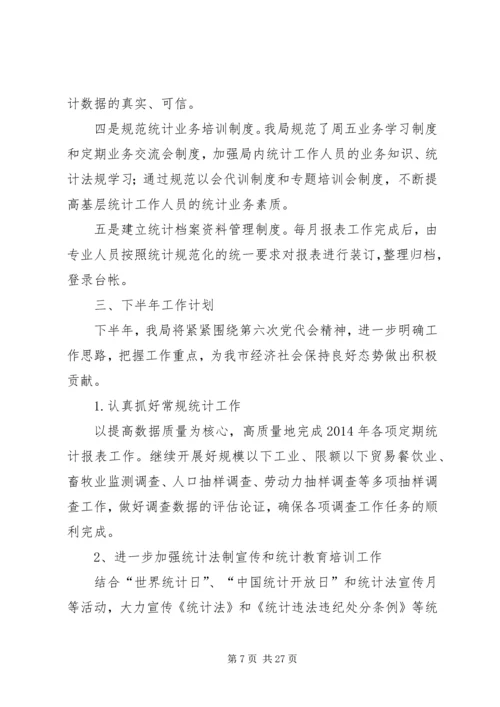 统计局XX年上半年工作总结及下半年工作计划 (2).docx