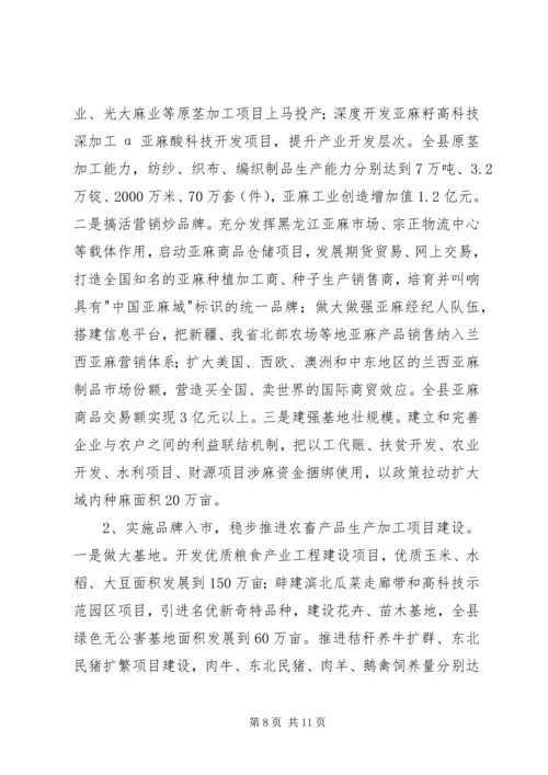 县项目建设情况座谈会议提纲汇报材料.docx