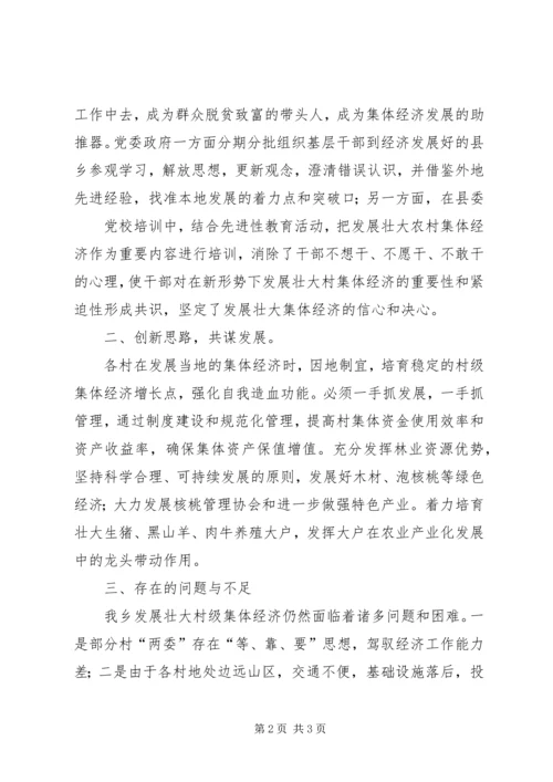 壮大村级集体经济自检自查报告 (2).docx