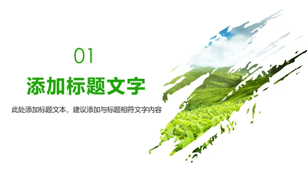 唯美绿色茶园文化茶艺品茶论道动态PPT模板