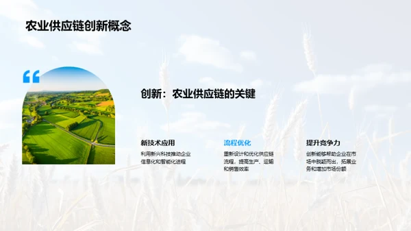 农业供应链创新策略