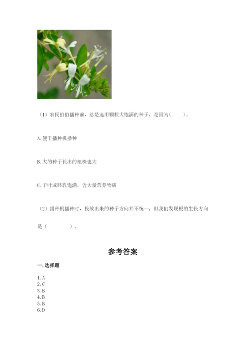 教科版科学四年级下册第三单元《岩石与土壤》测试卷带答案（b卷）.docx