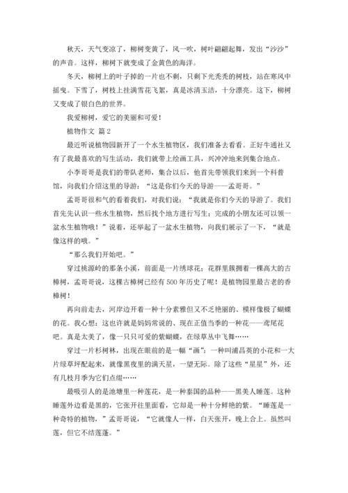 有关植物作文锦集5篇.docx