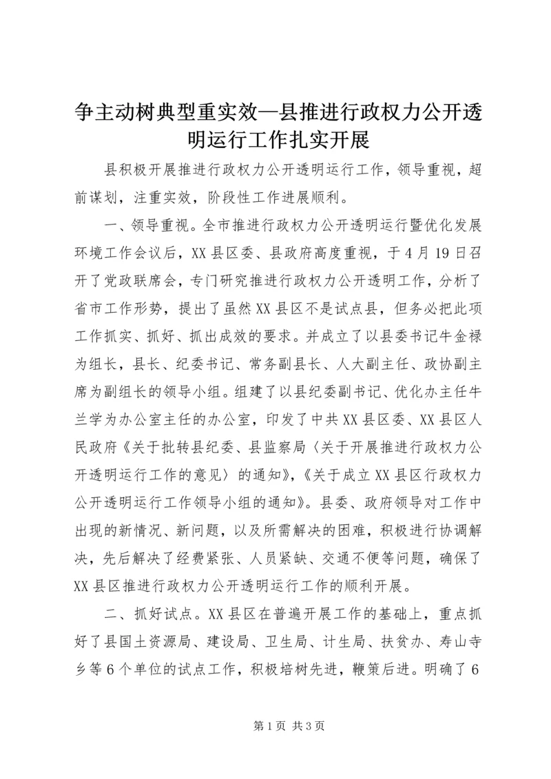 争主动树典型重实效—县推进行政权力公开透明运行工作扎实开展.docx