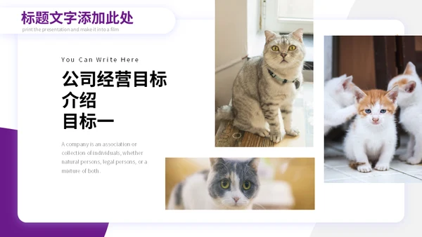 宠物小狗狗泰迪犬通用PPT模板