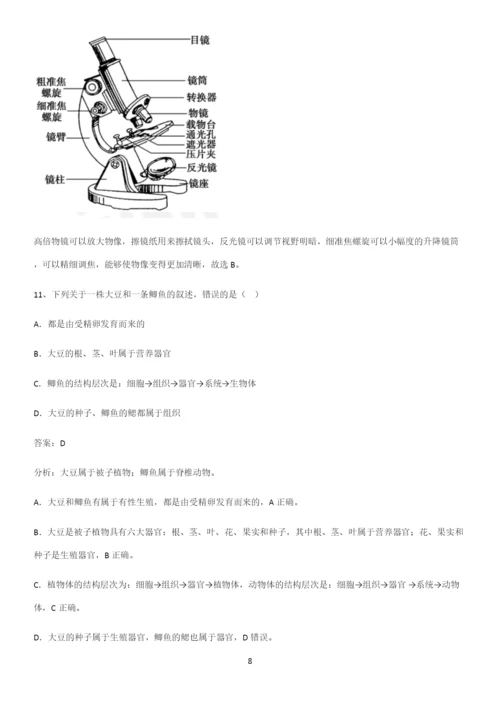 人教版2023初中生物七年级上册第二单元生物体的结构层次专项训练.docx