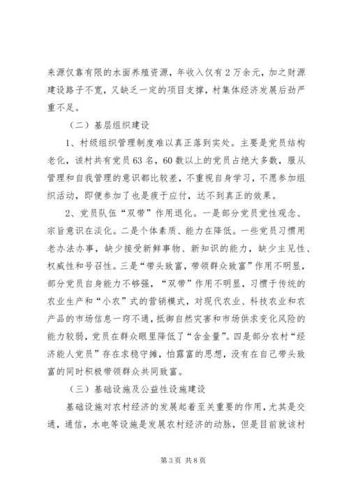 村工作计划及思路.docx