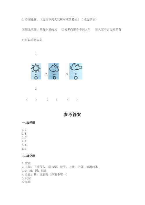 教科版三年级上册科学期末测试卷标准卷.docx
