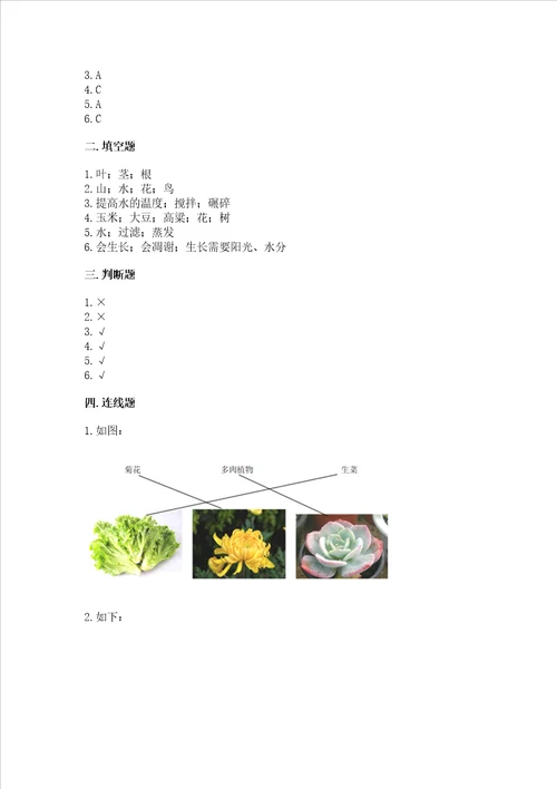教科版科学一年级上册第一单元植物测试卷及完整答案考点梳理