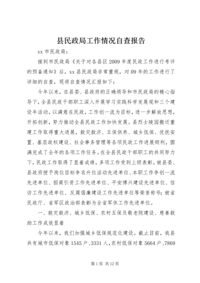 县民政局工作情况自查报告.docx