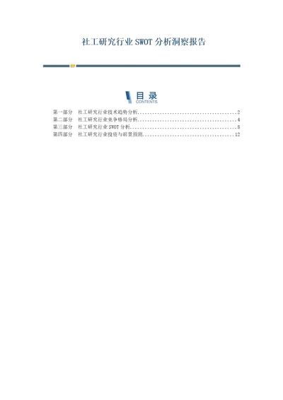 社工研究行业SWOT分析洞察报告