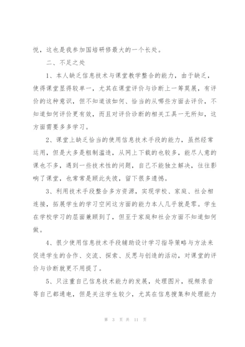 教师信息技术应用能力提升个人研修计划.docx