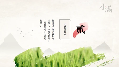 传统节气小满一抹绿色通用PPT模板