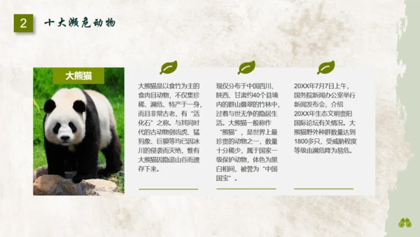 保护濒危野生动物通用PPT模板
