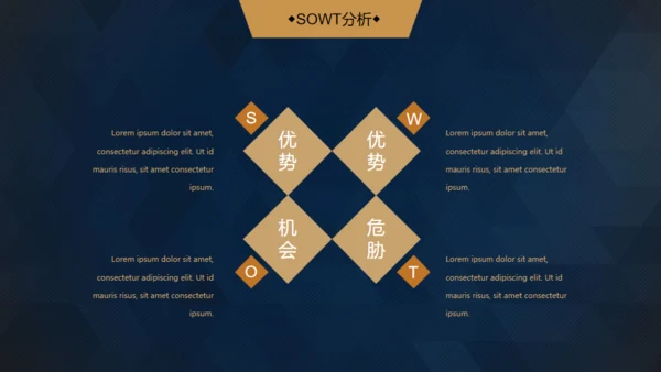 轻奢质感逼格创业计划书通用PPT模版