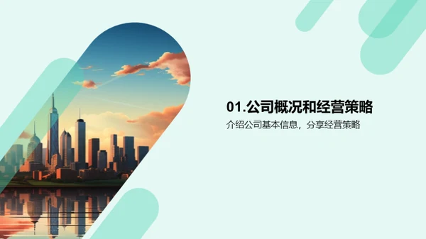 公司发展盘点与展望