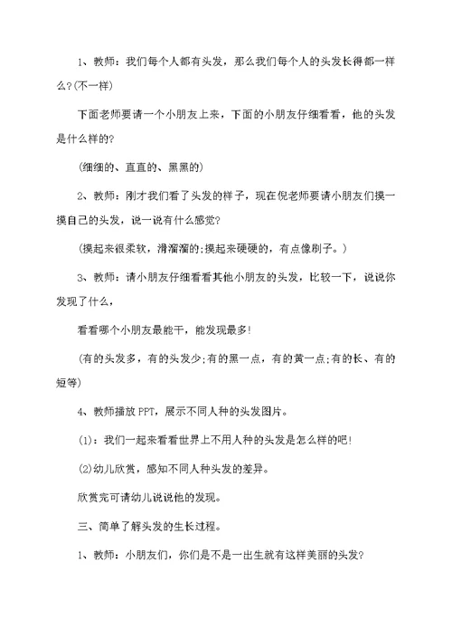不一样的头发大班教案