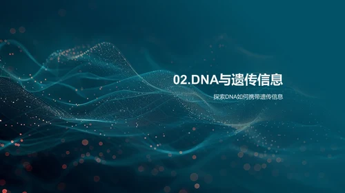 DNA结构与功能讲解PPT模板