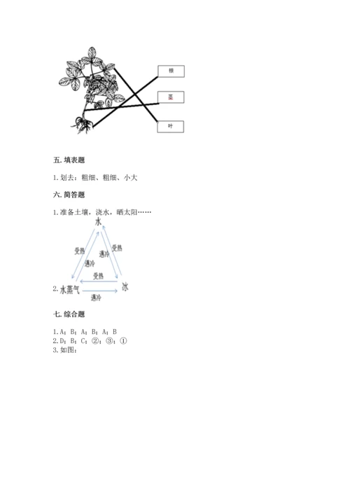 教科版科学一年级上册第一单元《植物》测试卷及完整答案1套.docx