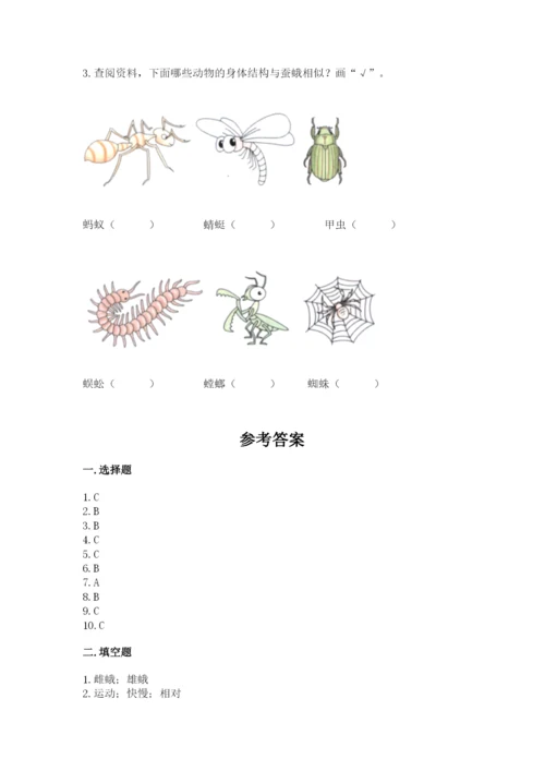 教科版三年级下册科学期末测试卷（达标题）.docx