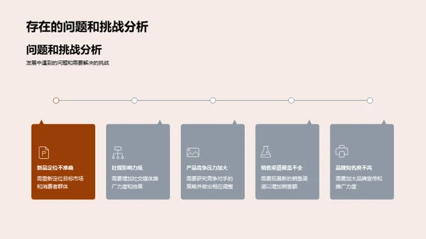 20XX品牌半年回顾