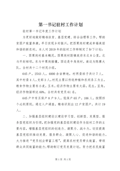 第一书记驻村工作计划 (3).docx