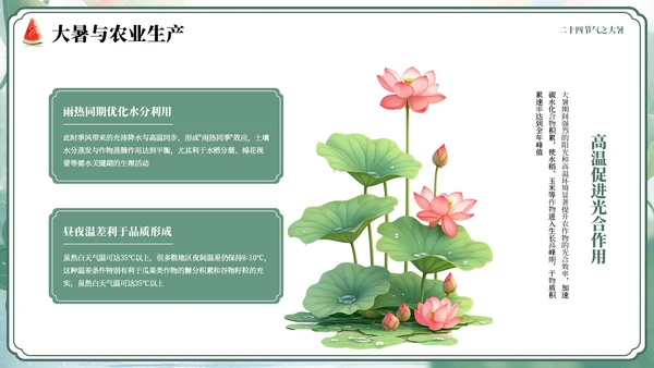 绿色小清新风二十四节气之大暑节气PPT模板