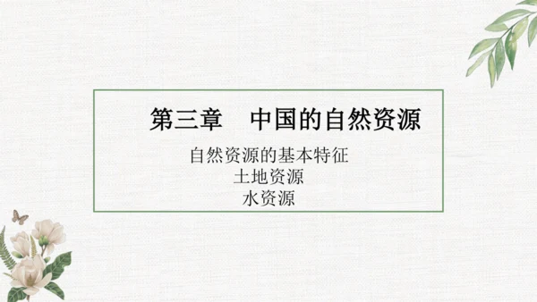 八上：中国的自然资源（一轮复习课件12张）（人教版）