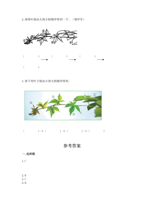 教科版科学一年级上册第一单元《植物》测试卷含完整答案【典优】.docx