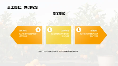 柑橘产业：未来之路