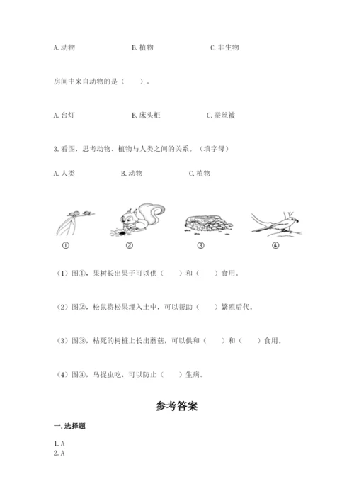 教科版二年级上册科学期末测试卷新版.docx