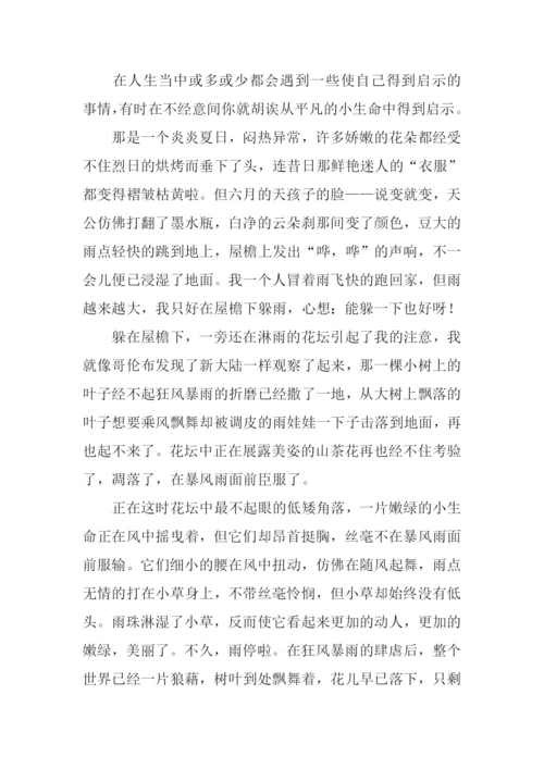 小草给我的启示作文.docx