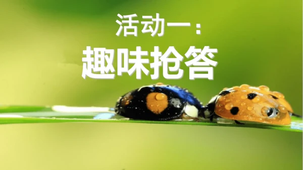 八年级上册语文第五单元 名著导读 《昆虫记》 课件