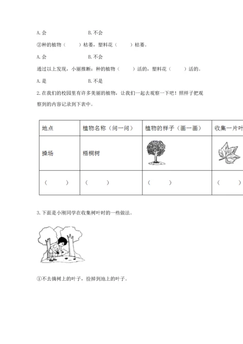 教科版科学一年级上册第一单元《植物》测试卷及答案【易错题】.docx