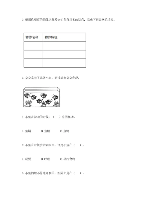 教科版一年级下册科学期末测试卷能力提升