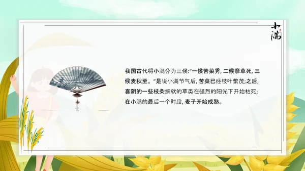 食粮丰收麦穗小满PPT模板