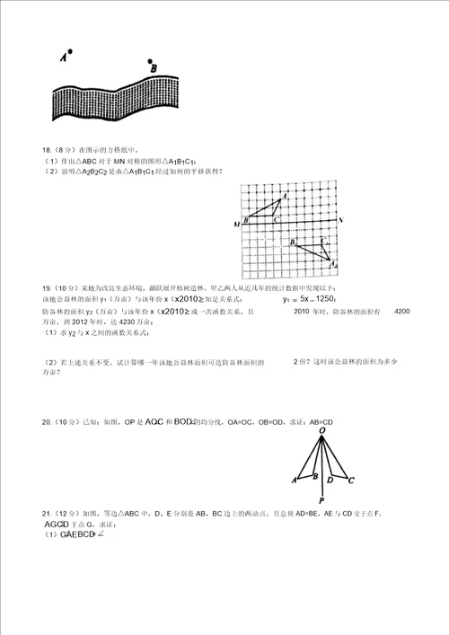 安徽省合肥20182019学年八年级上册期末模拟检测卷有答案数学最佳