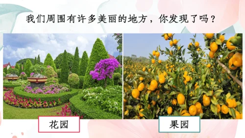 【三上课件】习作：这儿真美