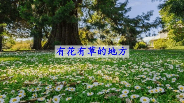 8 雨点儿  课件
