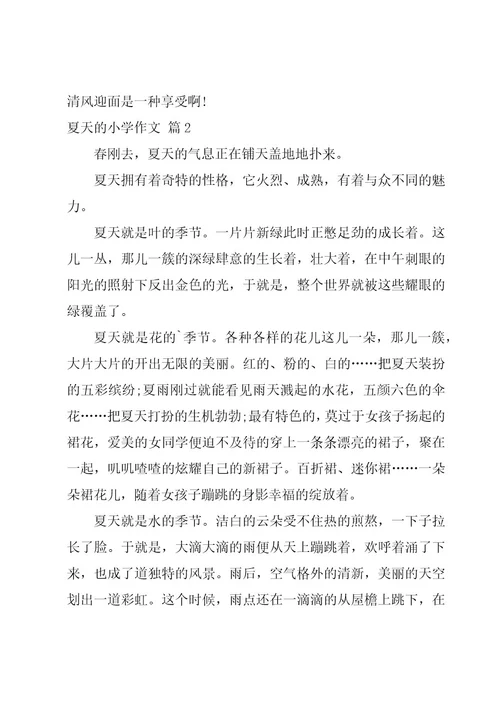 夏天的小学作文优秀8篇