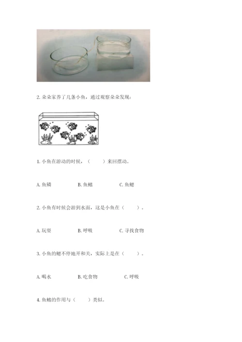 教科版一年级下册科学期末测试卷及参考答案（夺分金卷）.docx