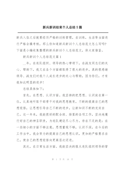 新兵新训结束个人总结5篇.docx