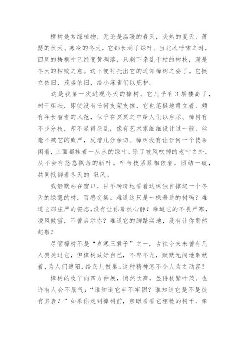 托物言志的初中作文.docx